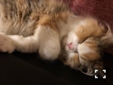 ブログイメージ