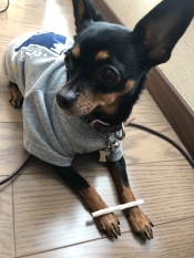 ブログイメージ