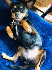 ブログイメージ