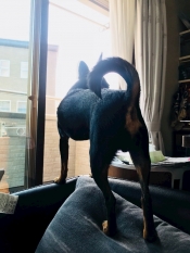 ブログイメージ