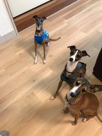 ブログイメージ