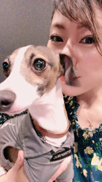 ブログイメージ