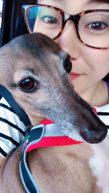 ブログイメージ