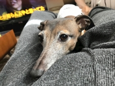 ブログイメージ