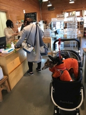 ブログイメージ