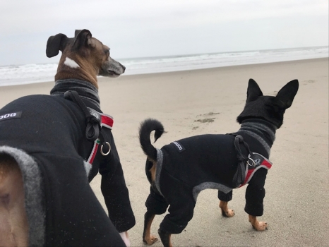 ブログイメージ