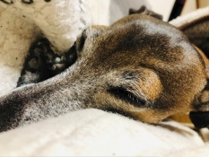 ブログイメージ