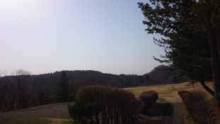 ブログイメージ