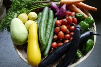 ブログイメージ