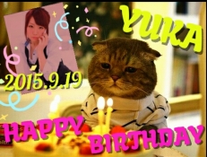 ブログイメージ