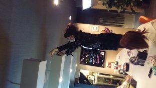 ブログイメージ