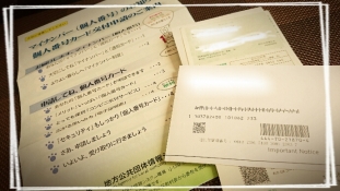 ブログイメージ