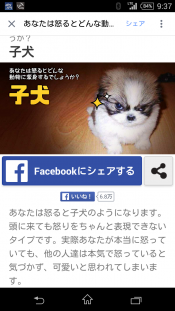 ブログイメージ