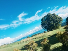 ブログイメージ