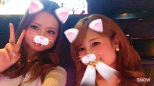 ブログイメージ