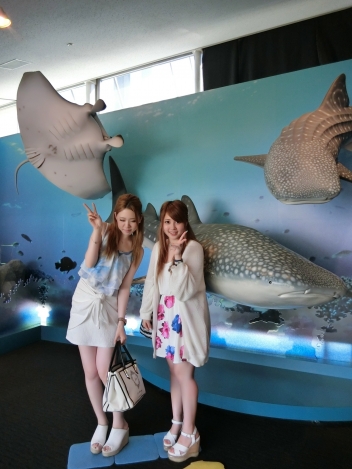 ブログイメージ