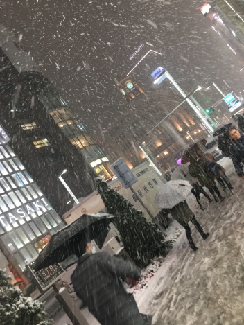 ブログイメージ