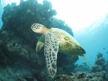 ブログイメージ