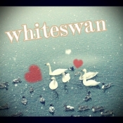 ブログイメージ