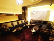 Stellar イメージ5