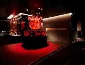 kingyo イメージ2