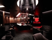 kingyo イメージ4