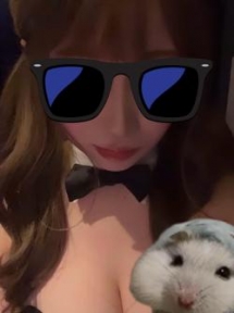 バニーちゃん イメージ