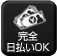 完全日払い